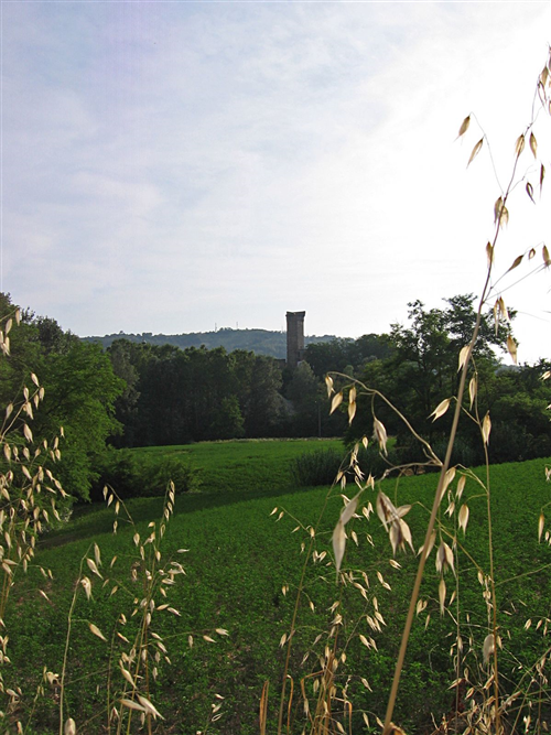 Territorio